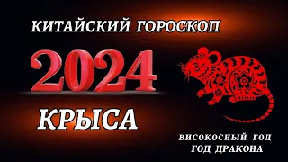 Гороскоп на 2024 год Для Крысы | ГОД ДРАКОНА 2024