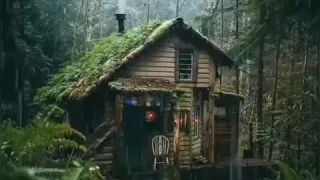 Chuva Forte Em Cabana Na Floresta • Relaxante Para Dormir •