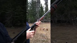 ✅out Winchester model 94 22 mag caliber versus cans #youtubeshorts