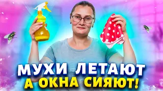 Махом мою окна от мух и пыли, средством, о котором забывают многие хозяйки. Стекла без разводов.