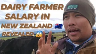 Ganito Pala Kalaki ang Sweldo nang Dairy Farmer Sa New Zealand || Tips Paano mag apply at agency !