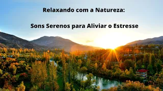 Relaxing with Nature: Serene Sounds to Relieve Stress