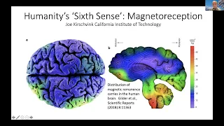 Humanity's 'Sixth Sense': Magnetoreception - Joe Kirschvink