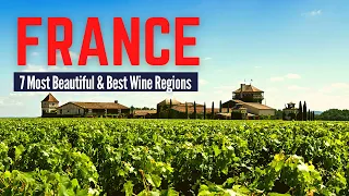 7 Most Beautiful and Best Wine Regions in France to Visit | France Travel Guide