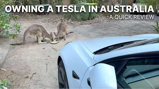 Owning a Tesla in Australia — A Quick Review