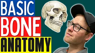 Bone Anatomy For Personal Trainers And Massage Therapists | Learn Skeletal Anatomy (Basic Edition)