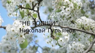 Стихотворение Николая Гурьянова " НЕ РОПЩИ "