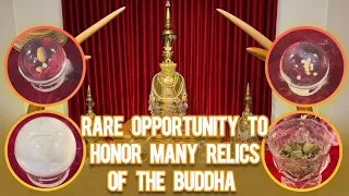 Rare Opportunity to honor many Relics of the Buddha | අසිරිමත් ධාතු වන්දනාව | Buddha Relics