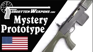 Winchester Mystery Prototype: Melvin Johnson does Project SALVO?