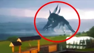 5 Sky Creatures Caught On Camera & Spotted On Camera (anyfacts)