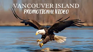 Vancouver Island 2023 Promo - Orca, Humpback, Black Bear