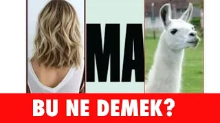 BU NE DEMEK? - Fotoğraflı Soğuk Espri Yarışması