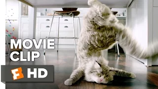 Nine Lives Movie CLIP - Moment of Privacy (2016) - Kevin Spacey Movie