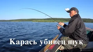 ЛУЧШИЙ ВОБЛЕР ДЛЯ НАЧИНАЮЩИХ. Или почему я люблю "карася".