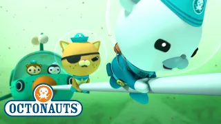 @Octonauts - The Great Algae Escape | Full Episode 25 | @OctonautsandFriends