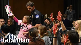 'Save the children of Gaza': Pro-Palestine protests interrupt Blinken's senate hearing