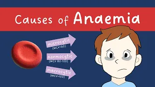Anaemia causes (microcytic, normocytic, macrocytic) | MADE EASY!