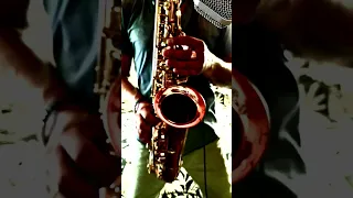 Михаил Звездинский - Очарована Околдована (SAX cover by OppositeMus)