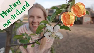 Planting 8 Fruit Trees in Clay Soil 🌳🍎 - Oklahoma Garden