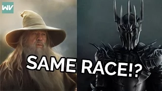 Sauron and Gandalf are the same SPECIES?!?