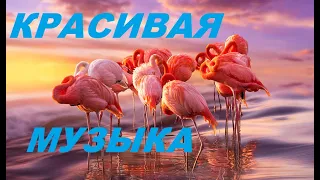 Эта трогательная Мелодия...очень красивая музыка...