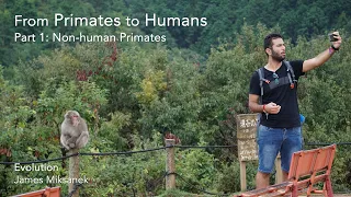 From Primates to Humans, Part 1