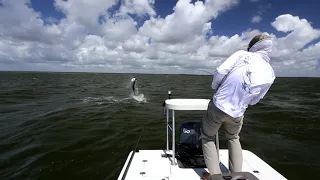 Fly Fishing for Big Tarpon in the Florida Everglades