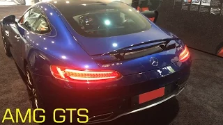 MERCEDES AMG GTS | DETAILED WALKAROUND & REVS