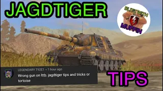 Tips and Tricks Jagdtiger WOT Blitz