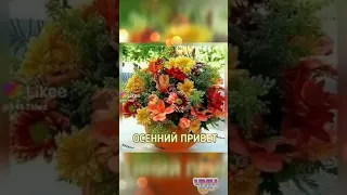 Доброго осеннего утра всем!