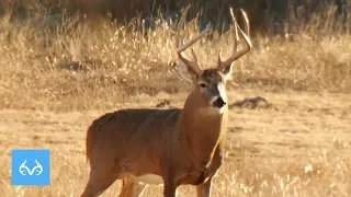 167" Giant Whitetail | Bill Jordan Hunts Kansas | Monster Bucks Mondays