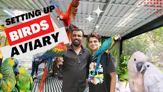 Exotic Birds Aviary - Complete Setup with Birds #ScarletMacaw #MoluccanCockatoo #BlueEyeCockatoo