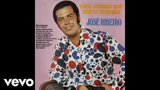 José Ribeiro - Na Porta da Cozinha (Áudio Oficial)