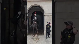 Lady Guard shows HUGE 17 hands horse who is the boss as he plays up for almost 30 mins! 03.08.2023.