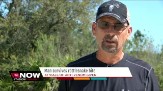 Man survives rattlesnake bite