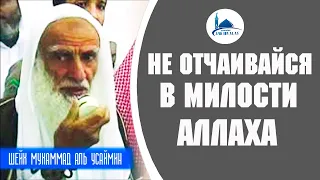 Не отчаивайтесь в милости Аллаха. Шейх Усеймин.