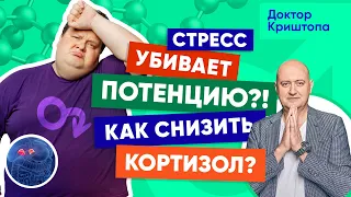 Как снизить гормон стресса? Повышенный кортизол и мужская потенция