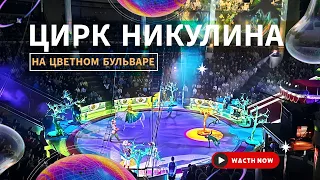 Цирк Никулина на Цветном бульваре 🤹‍♂️ Двое из ларца 🎪 Куда пойти с ребенком