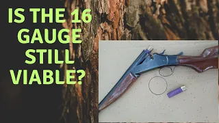 The 16 Gauge, Is It Still Viable?