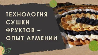 3. Технология сушки фруктов – опыт Армении