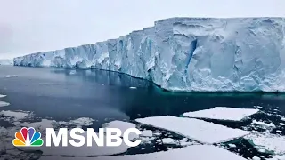 ‘Doomsday Glacier’: Experts Raise Alarms About Cracking Antarctic Ice Shelf