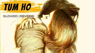 Tum Ho (Slowed+Reverb) | Mohit Chauhan | Rockstar | Bollywood Songs | Chillout Songs | Nonstop Hits