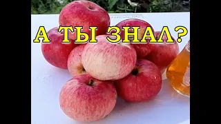 Что сделать, чтобы ЯБЛОНИ плодоносили каждый год?!🍏 🍎🍏