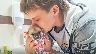 Плач новорожденного щенка и продолжение истории спасения Жалко до слез puppy in an animal shelter
