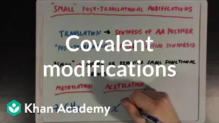 Covalent modifications to enzymes | Biomolecules | MCAT | Khan Academy