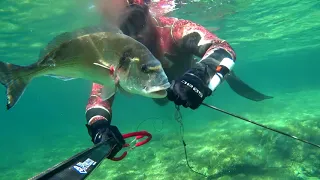 Dorada XL en 1 metro de agua