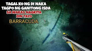 EP 281:  TAGAL KO NG DI NAKATAGPO NG GANITONG ISDA SA WAKAS NAGKITA DIN TAYO