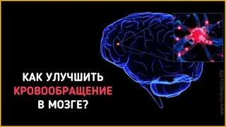 Как улучшить кровоснабжение головного мозга. Как снять головную боль без таблеток