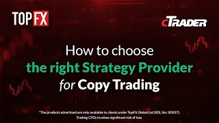 Become cTrader Master - Part 7 - How to choose the right Strategy Provider for Copy Trading
