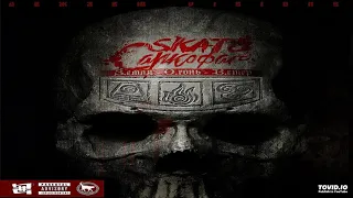 SKATO САРКОФАГ — killaz